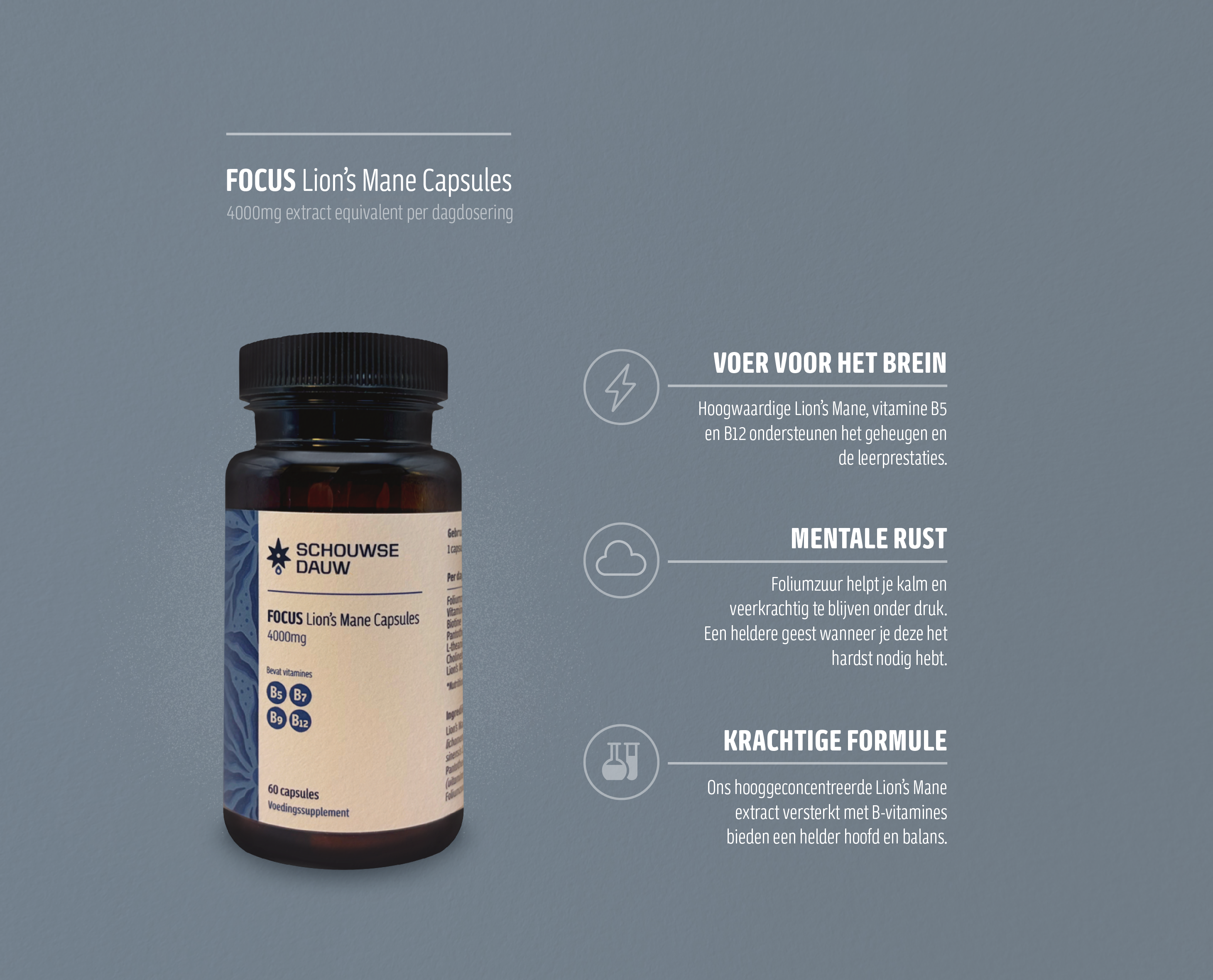 FOCUS • Lion's Mane Capsules 4000mg | Focus & Concentratie | 60 Stuks