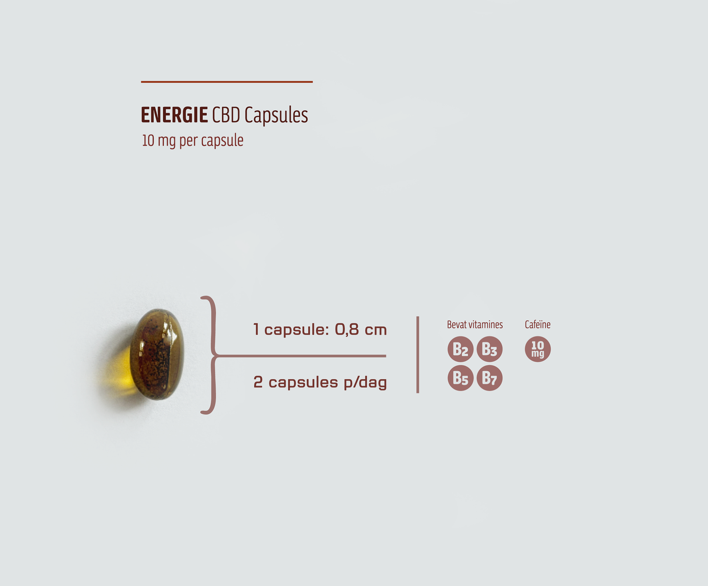 ENERGIE • CBD Capsules (10mg CBD per capsule) met Cafeïne en Vitamine B-complex | 60 Stuks