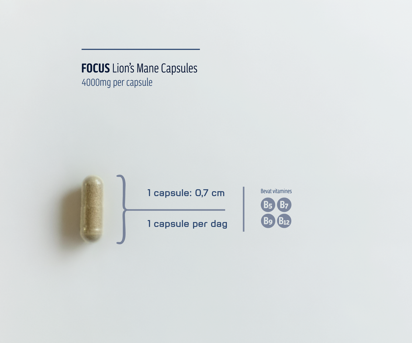 FOCUS • Lion's Mane Capsules 4000mg | Focus & Concentratie | 60 Stuks