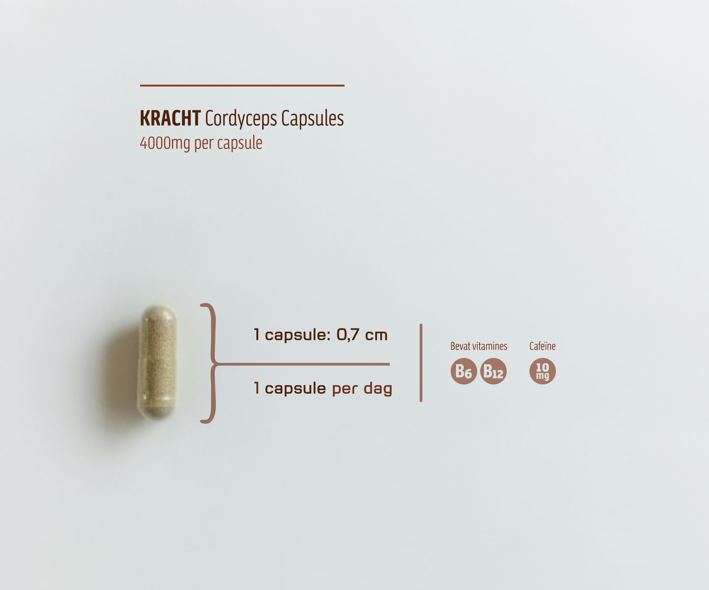 KRACHT • Cordyceps Capsules 4000mg met Cafeïne | Kracht & Energie | 60 Stuks
