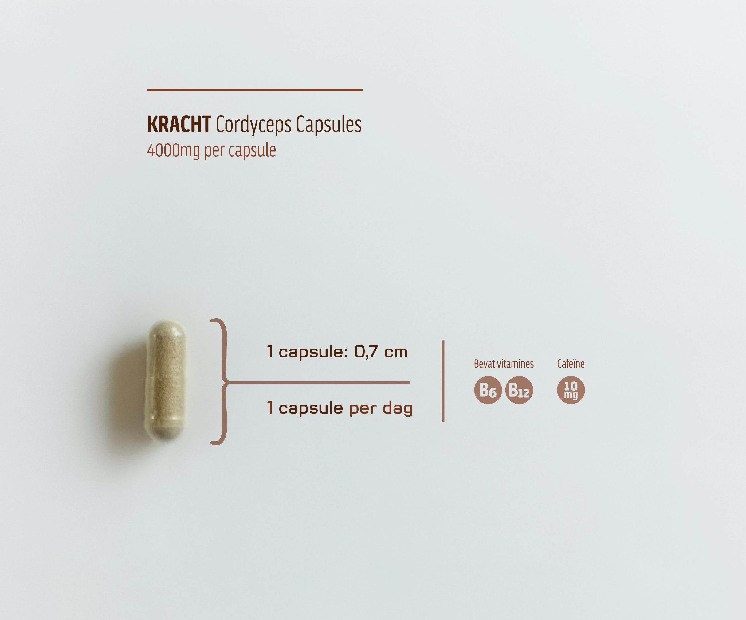 KRACHT • Cordyceps Capsules 4000mg met Cafeïne | Kracht & Energie | 60 Stuks